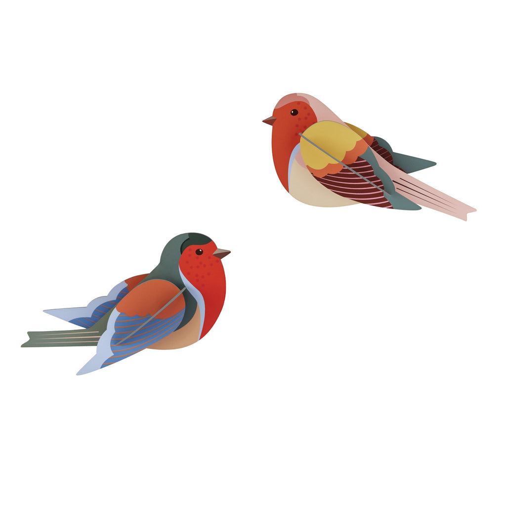 Two illustrated birds with vibrant colors; one has green, red, and blue tones, the other yellow, pink, and red. Both appear friendly against a white background.