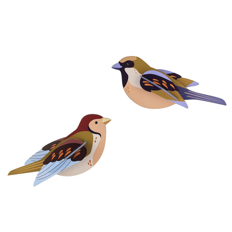 Two stylized birds on a white background, featuring vibrant plumage in shades of brown, blue, and orange. The design is simple and modern.