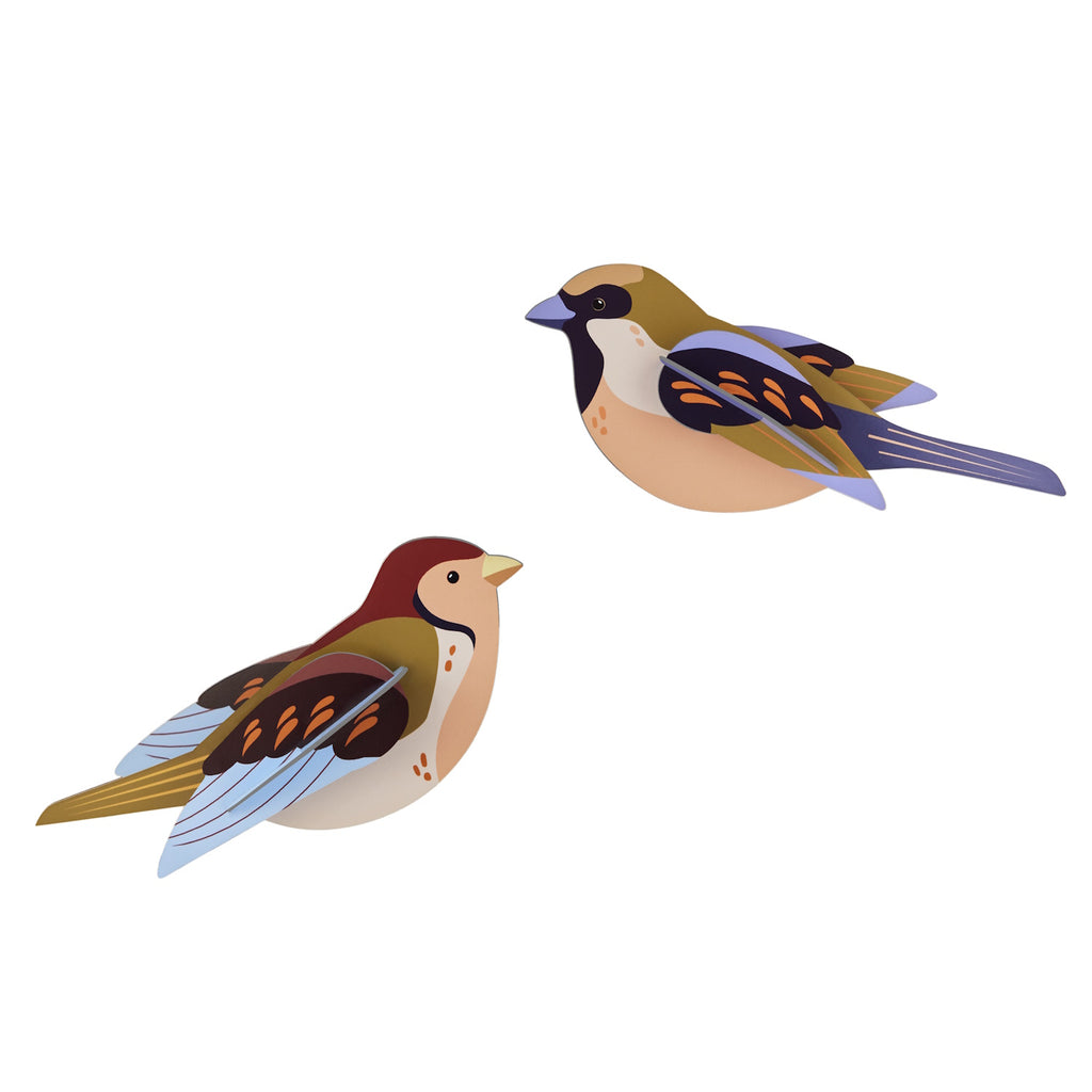 Two stylized birds on a white background, featuring vibrant plumage in shades of brown, blue, and orange. The design is simple and modern.