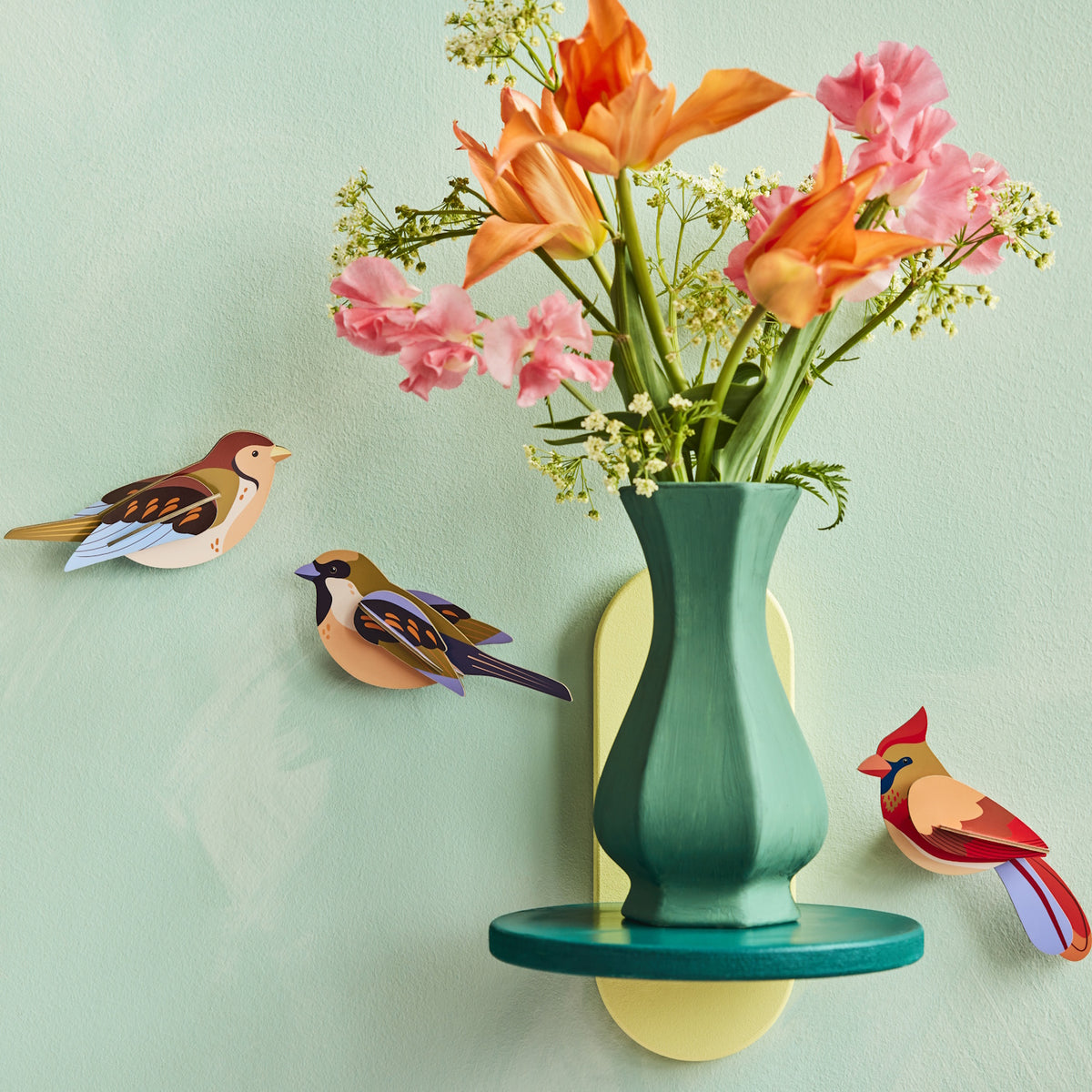 Studio Roof Garden Birds Sparrows