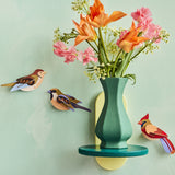 Studio Roof Garden Birds Sparrows