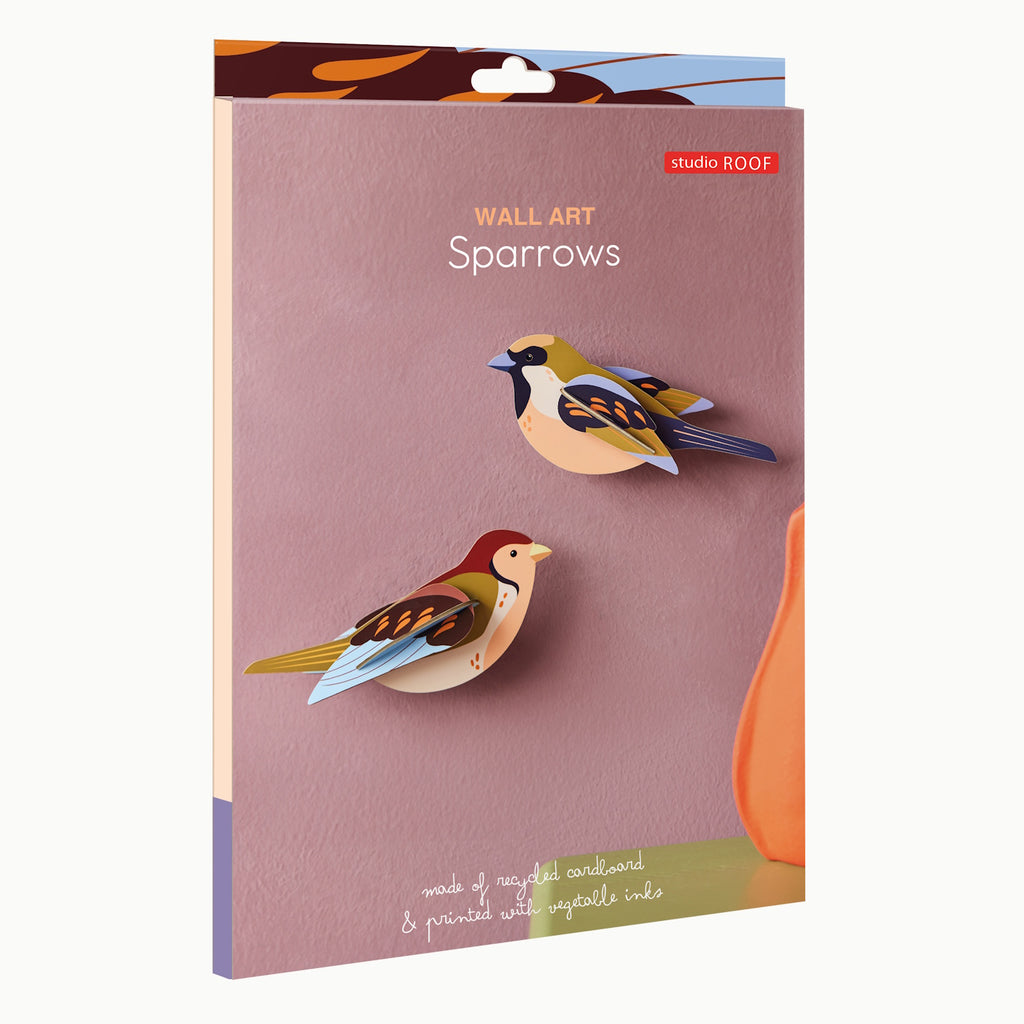 Packaging for "Sparrows" wall art by Studio Roof, featuring two colorful cardboard bird designs against a pastel background. Eco-friendly materials noted.