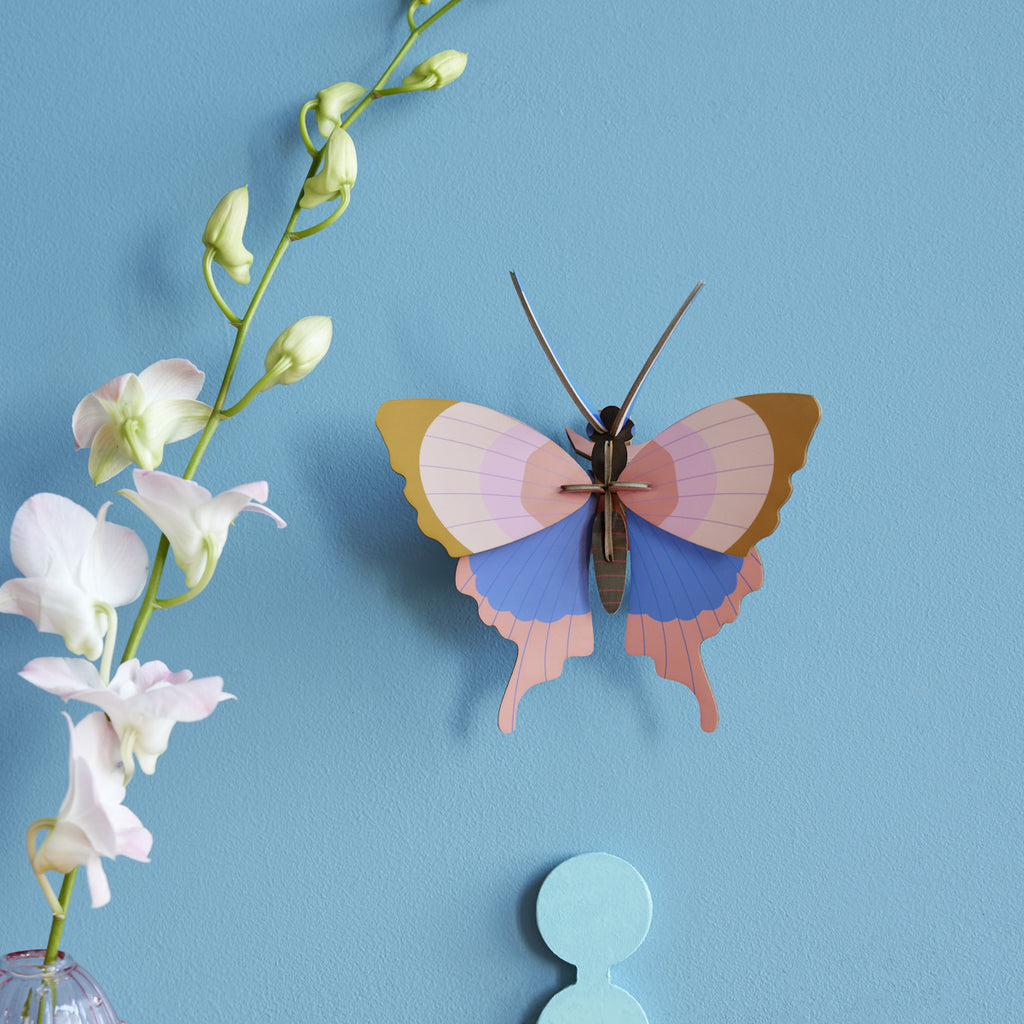 A colorful paper butterfly and white orchids are set against a light blue wall. A decorative blue object and glass vase add elegance to the serene scene.