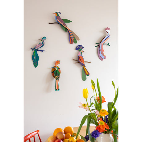 Studio Roof Paradise Bird - Tinjil