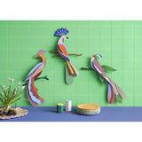 Studio Roof Paradise Bird - Tinjil