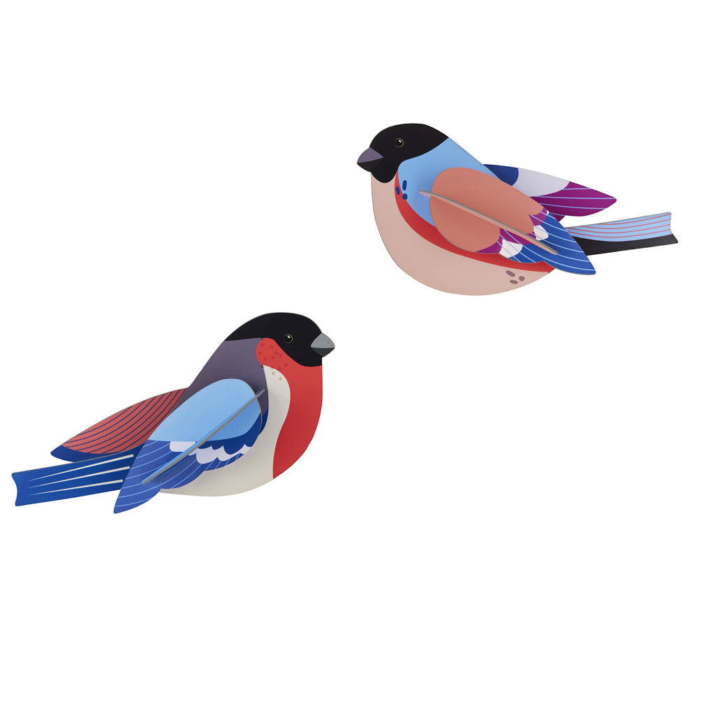 Illustration of two stylized birds with vibrant colors and geometric patterns, featuring red, blue, and pink plumage, conveying a playful tone.