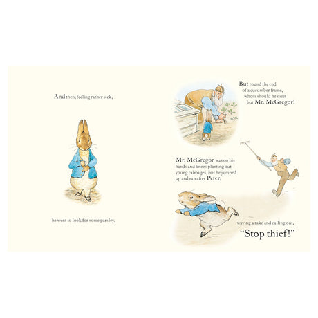 Illustrations of Mr. McGregor chasing Peter Rabbit through a garden while waving a rake and calling out, "Stop thief!"