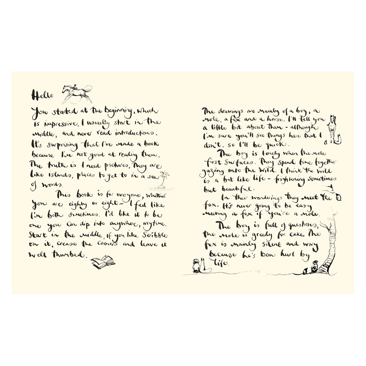 Two pages of handwritten text describe the start of a book. Small, whimsical sketches of a boy, animals, and nature add a playful, intimate tone.