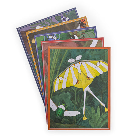 Stacked set of Tout Autour du Monde fantasy insect activity boards featuring a comet moth and beetle.