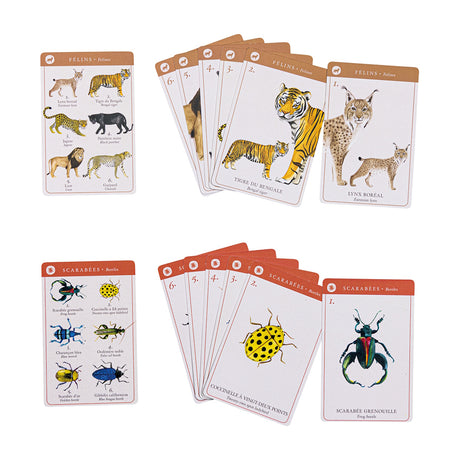 Tout Autour du Monde Happy Families card game featuring illustrated animal sets of felines and beetles.
