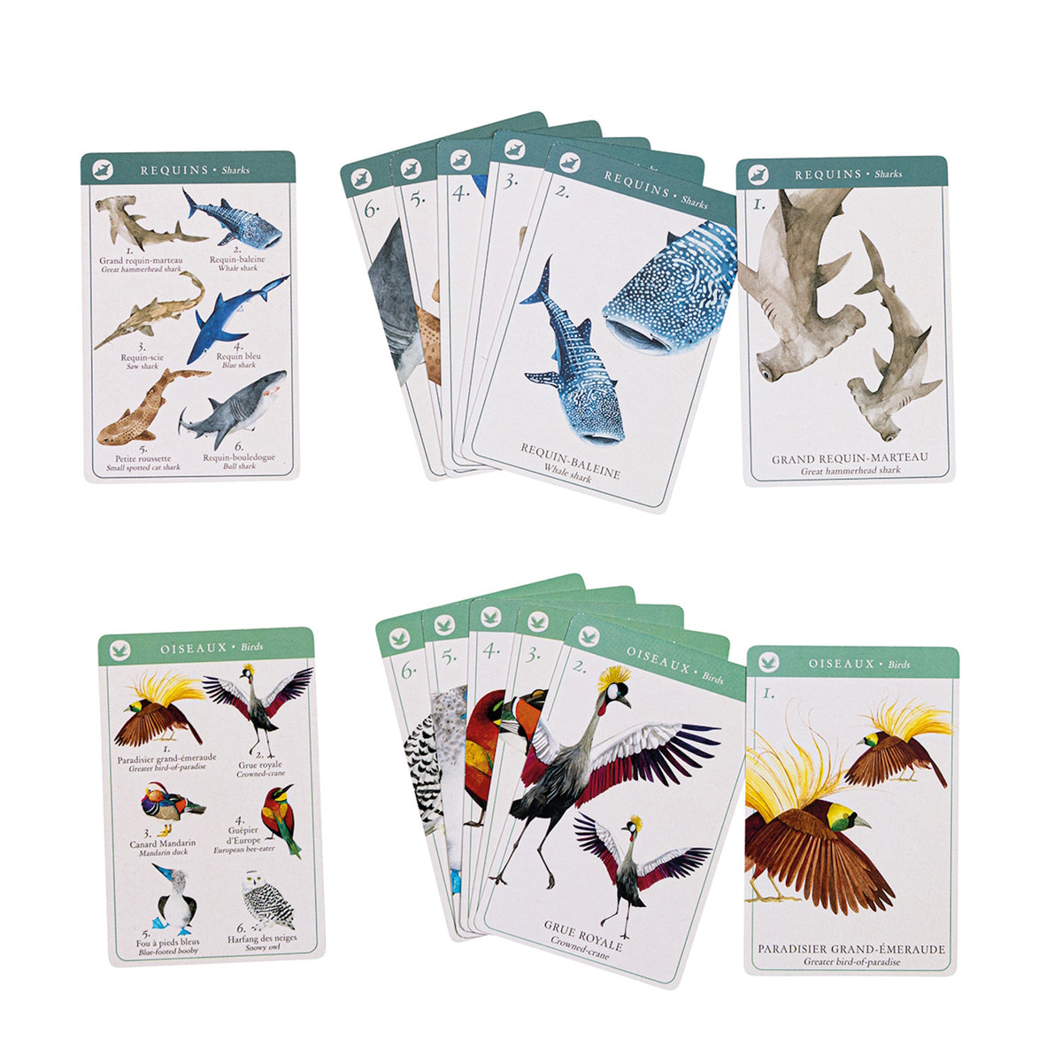 Tout Autour du Monde card game featuring illustrated shark and bird family sets for Happy Families.