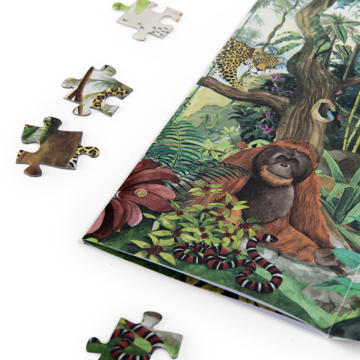 Close-up of rainforest puzzle pieces and box featuring an orangutan, leopard, and snake in a jungle scene.
