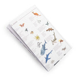 Multi-language animal identification guide featuring a kangaroo, whale shark, and platypus with various wildlife species.