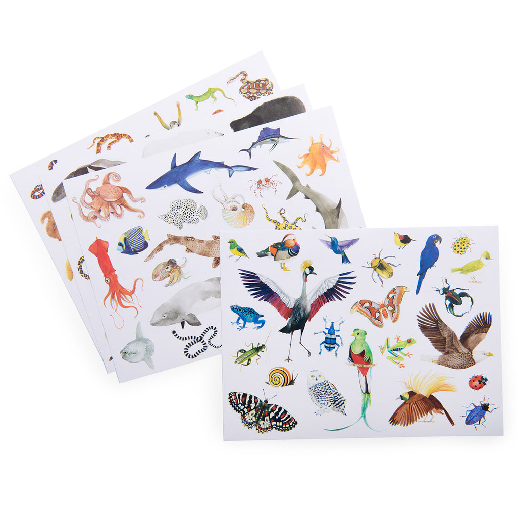Illustrated sheets featuring a colorful array of animals, including birds, marine life, and insects, showcasing diversity and vibrancy in nature.