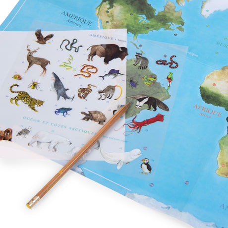 World map with animal rub-on transfers, including a bison, jaguar, and polar bear, being applied with a pencil.