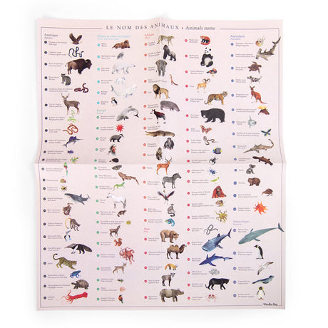 Educational poster titled Le Nom Des Animaux featuring a variety of illustrated animals categorized by continent.