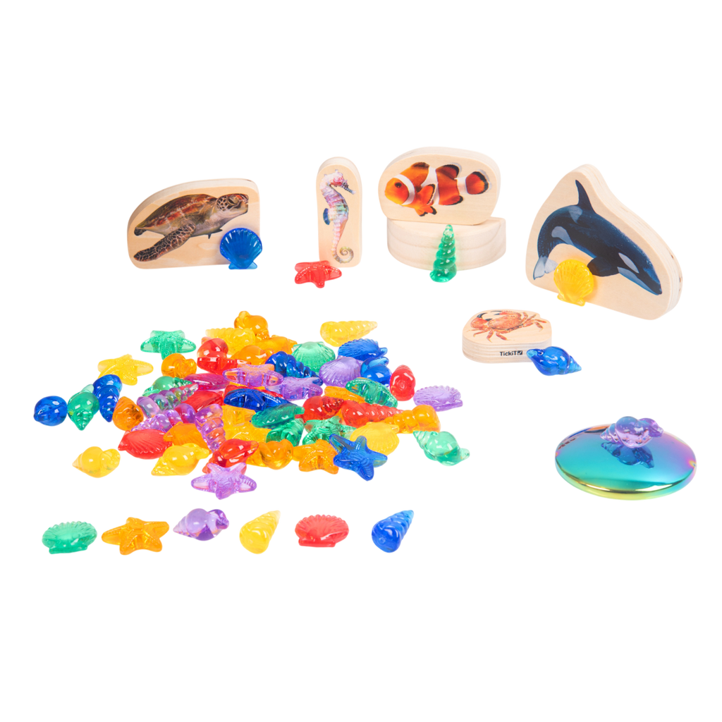 A set of vibrant, see-through plastic shells designed for sensory exploration, sorting, counting, and light-based activities.