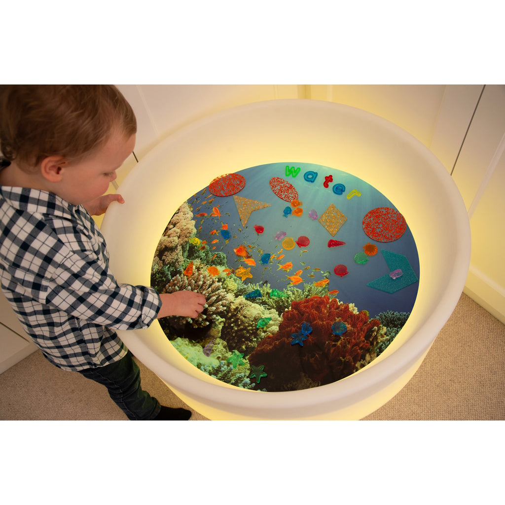 A set of vibrant, see-through plastic shells designed for sensory exploration, sorting, counting, and light-based activities.
