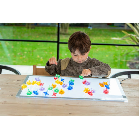 A set of spinning sensory toys with clear, colorful discs that create visual effects, ideal for exploring color mixing and motion.