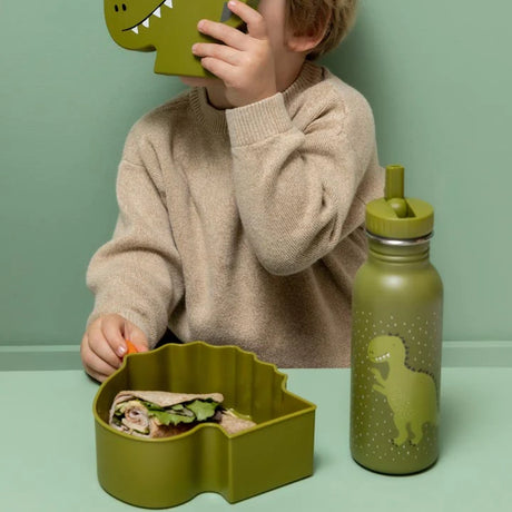 Child holding a dinosaur-shaped lid over their face, with a matching open lunch box and green water bottle.