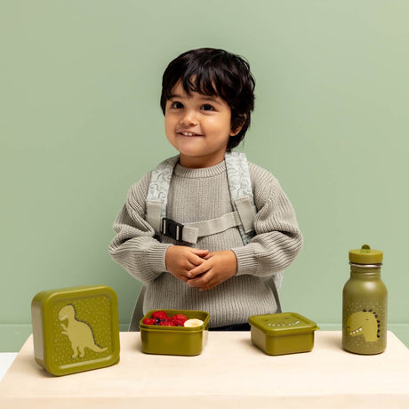 A smiling child with a backpack standing near three green dinosaur snack boxes and a matching water bottle.