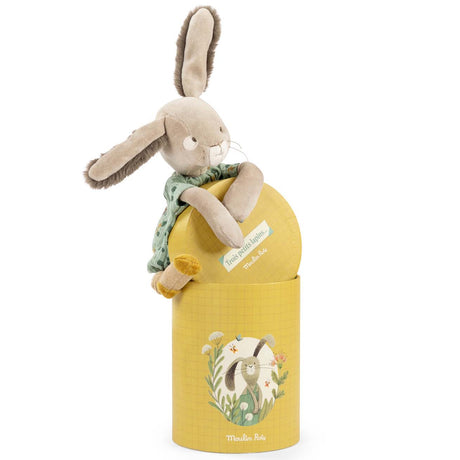 Plush rabbit in a green dress hugging the lid of its yellow, illustrated gift box.