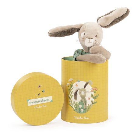 Plush bunny toy popping out of a yellow cylindrical box with French text and garden illustrations.