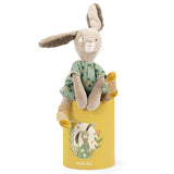 Plush bunny in a green dress sitting on a yellow gift box with a Moulin Roty garden illustration.