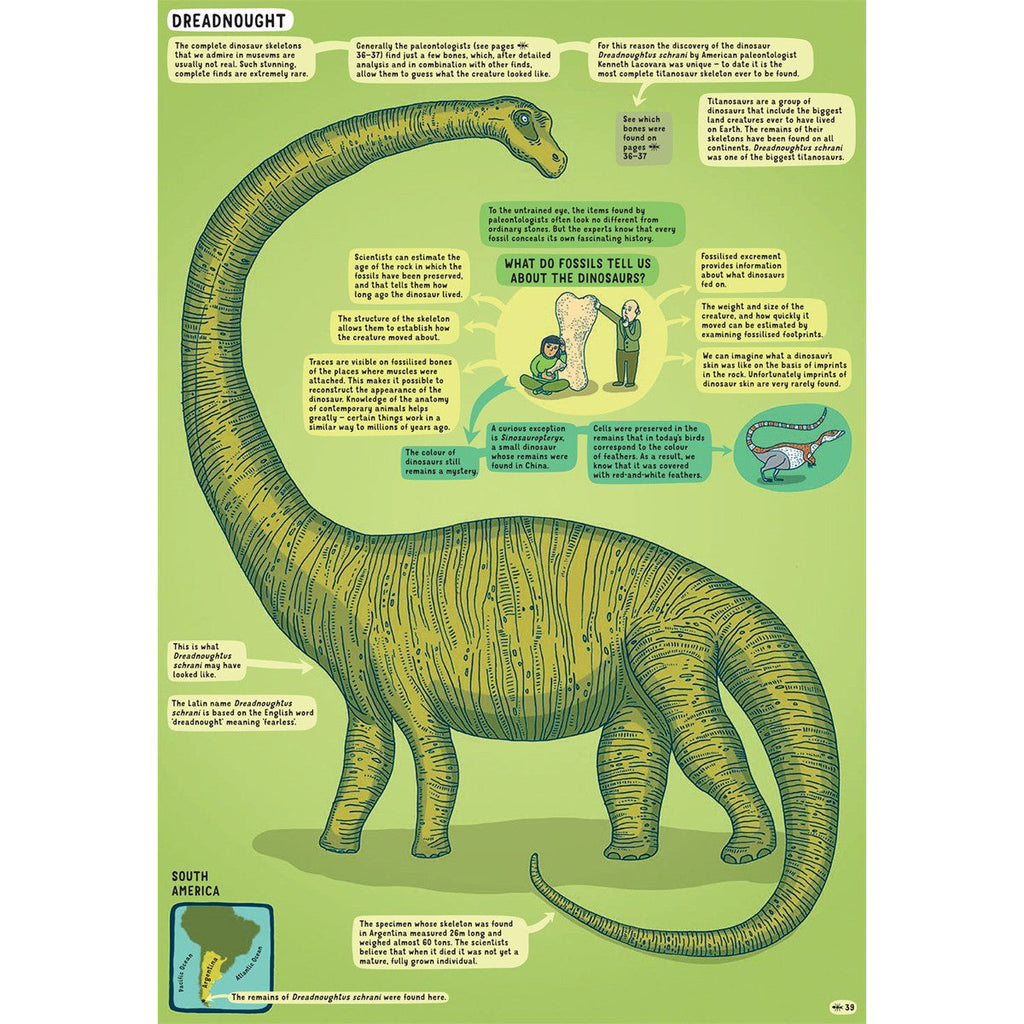 Under Earth Under Water Book Fossils and Dinosaurs Page BOOK03647