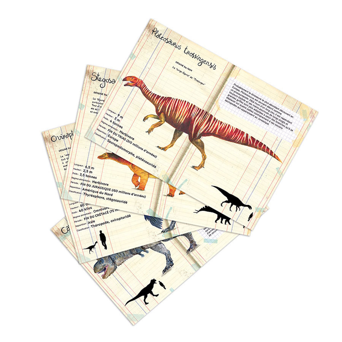 Fan of vintage-style dinosaur info cards featuring Plateosaurus and Stegosaurus illustrations with French text.