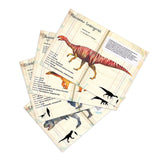 Fan of vintage-style dinosaur info cards featuring Plateosaurus and Stegosaurus illustrations with French text.