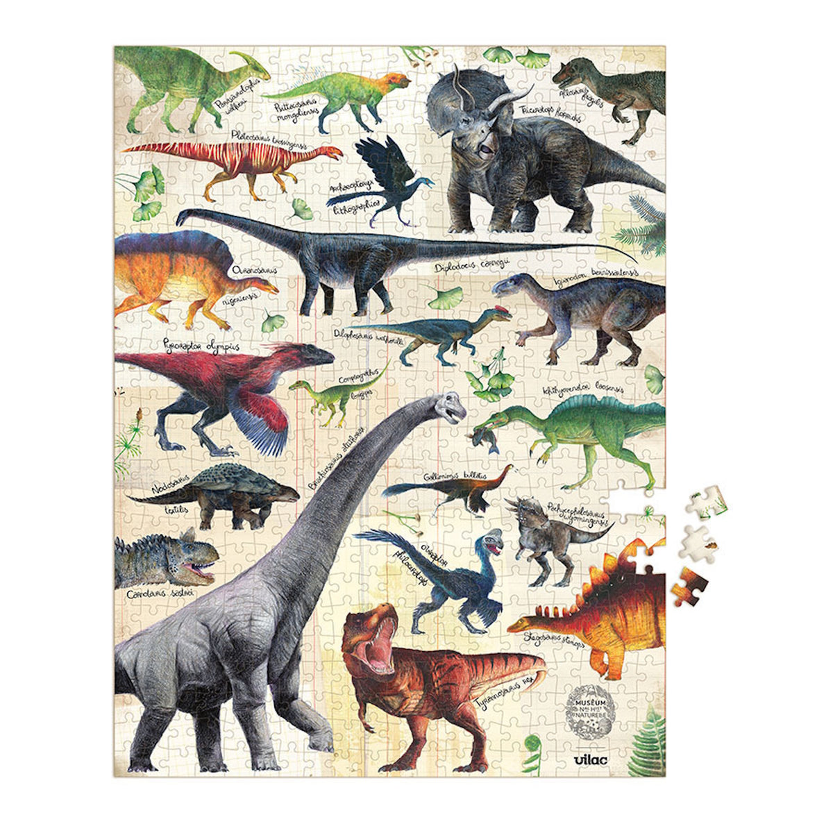 Vilac dinosaur jigsaw puzzle partially assembled with loose pieces on a white background.