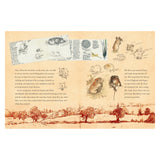 A vintage illustration shows pencil sketches of mice and English countryside scenes. Text describes a woman's journey, her pet mouse Daisy, and her culinary experiments.