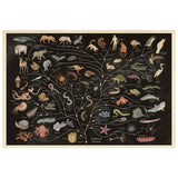 Evolutionary tree illustration showing diverse animal species branching from a central trunk. Includes mammals, birds, reptiles, fish, and invertebrates on a dark background.