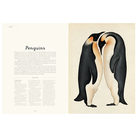 Illustration of two penguins touching heads on the right, with an article about penguins on the left. The layout is calm and informative.