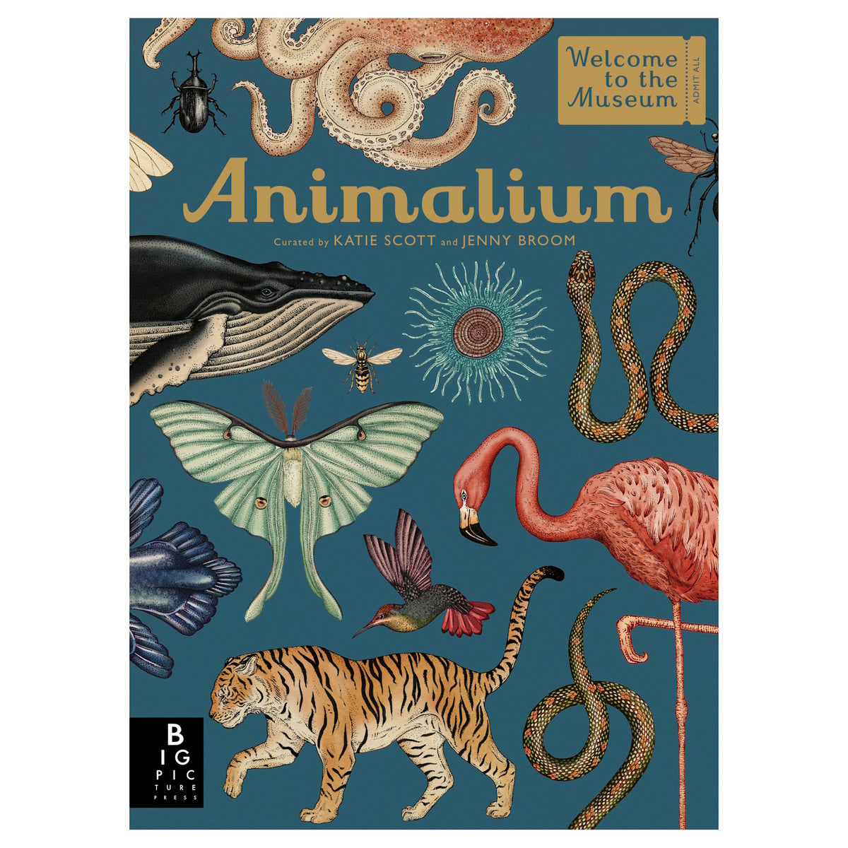 Cover of the book "Animalium" featuring detailed illustrations of animals, including a whale, tiger, flamingo, moth, octopus, and snake on a blue background.