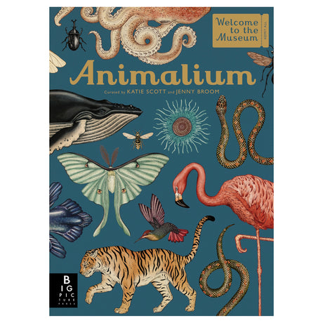 Cover of the book "Animalium" featuring detailed illustrations of animals, including a whale, tiger, flamingo, moth, octopus, and snake on a blue background.