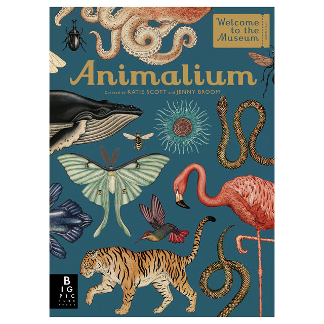 Cover of the book "Animalium" featuring detailed illustrations of animals, including a whale, tiger, flamingo, moth, octopus, and snake on a blue background.