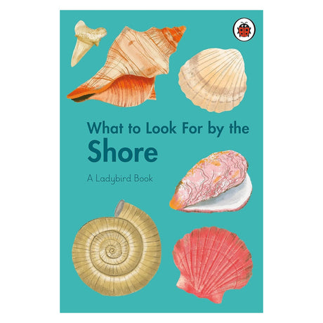 Book cover for "What to Look For by the Shore" featuring colorful seashells on a teal background.