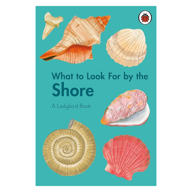 Book cover for "What to Look For by the Shore" featuring colorful seashells on a teal background.