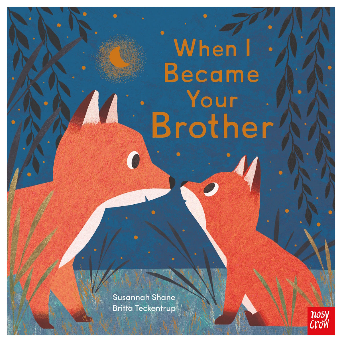 Book cover titled 'When I Became Your Brother' featuring two red foxes looking at each other at night.