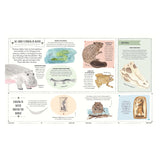 Animal encyclopedia page titled Lurking in Water featuring illustrations of a hippo, anaconda, beaver, and frog.