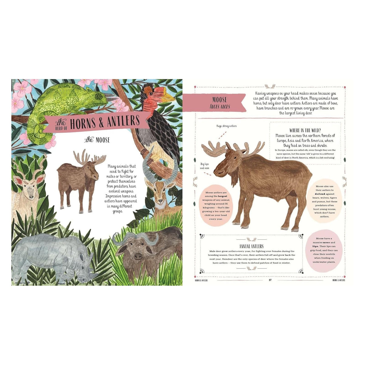 Children's book spread titled Horns and Antlers featuring illustrations of a moose, rhino, and buffalo with educational text.