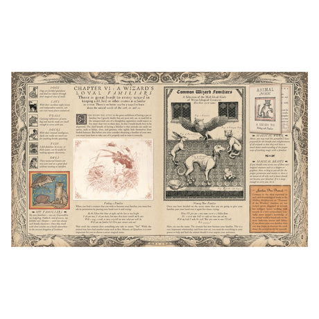 A vintage-style illustrated page from a wizardry book shows various magical familiars. It includes animals, descriptions, and ornate borders, conveying enchantment.