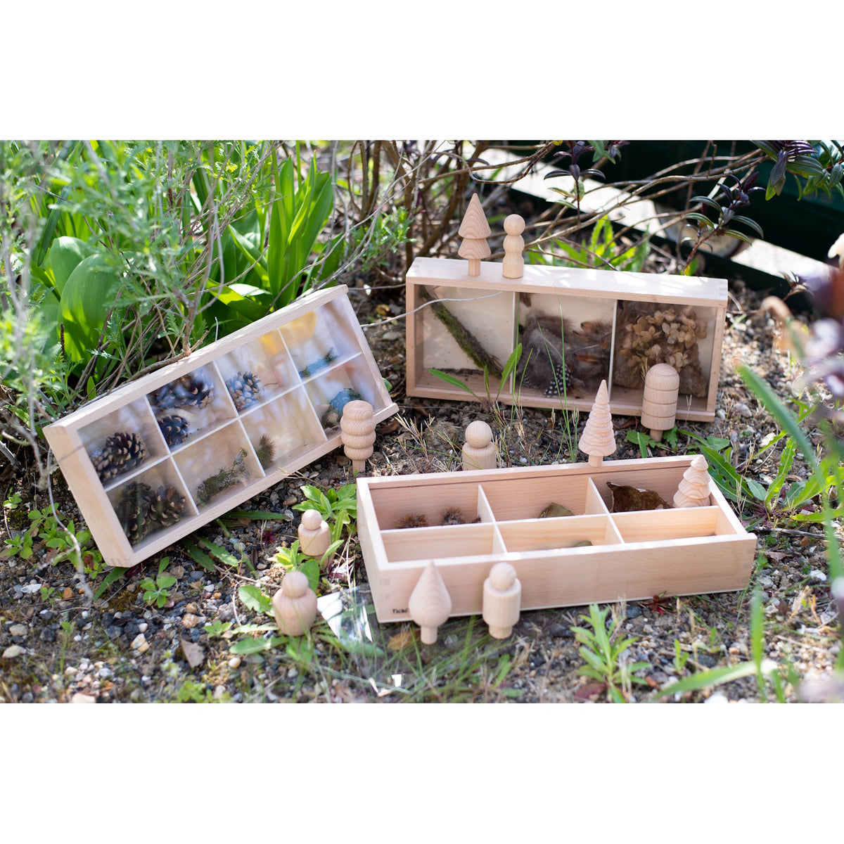 Wooden Discovery Boxes