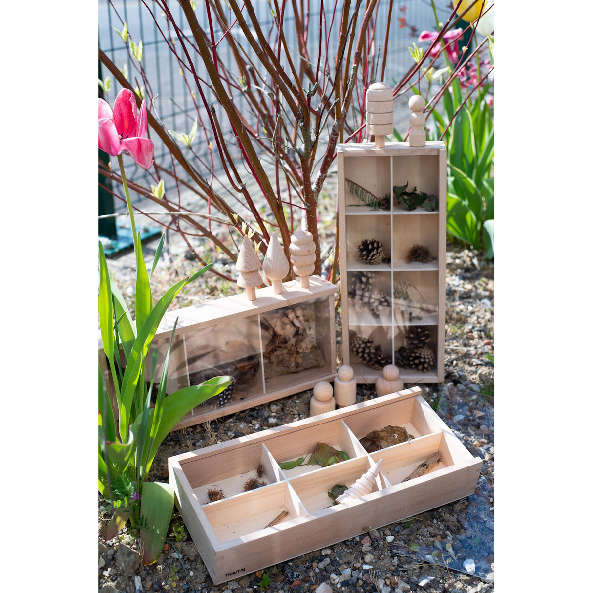 Wooden Discovery Boxes