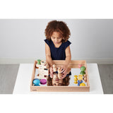 Wooden Mirror Tray
