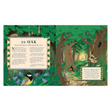 An illustrated book spread titled "AN OAK" with text columns alongside a lush forest full of woodland wildlife.