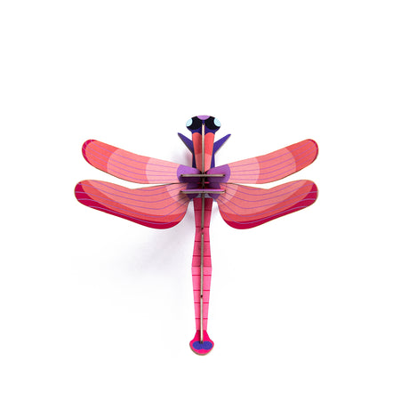 Insects Small -  Ruby Dragonfly