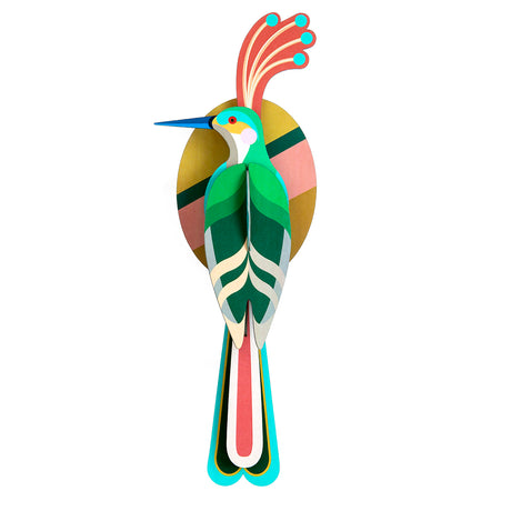 Birds - Paradise Bird Nias
